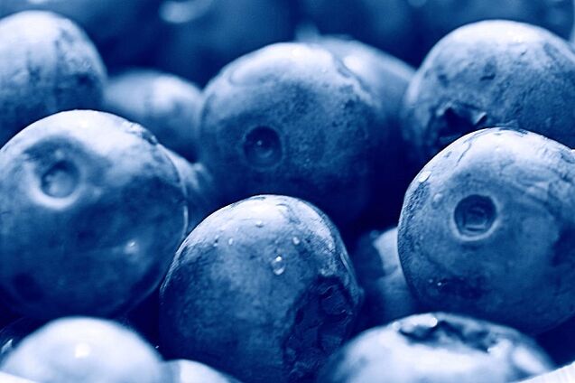 Blueberries fir d'ketogene Ernährung